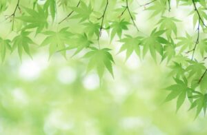 「健康のモヤモヤ相談会」を作った理由