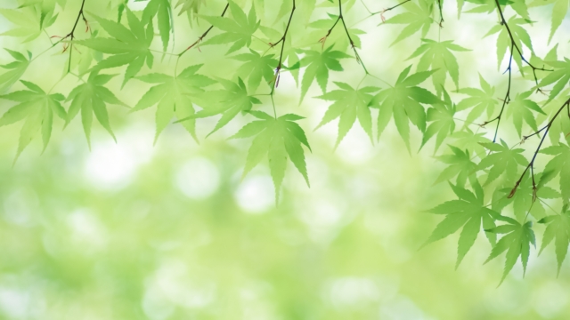 記事のサムネイル画像