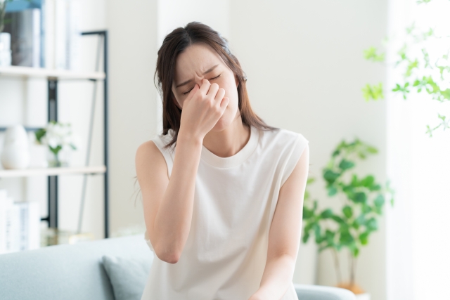 記事のサムネイル画像