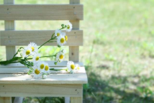 記事のサムネイル画像