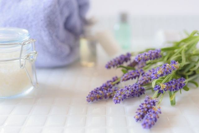 記事のサムネイル画像