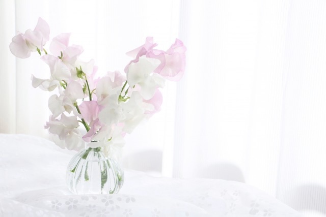 記事のサムネイル画像