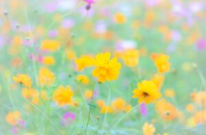 軽いウォーキングで血流改善 🚶‍♀️🌿