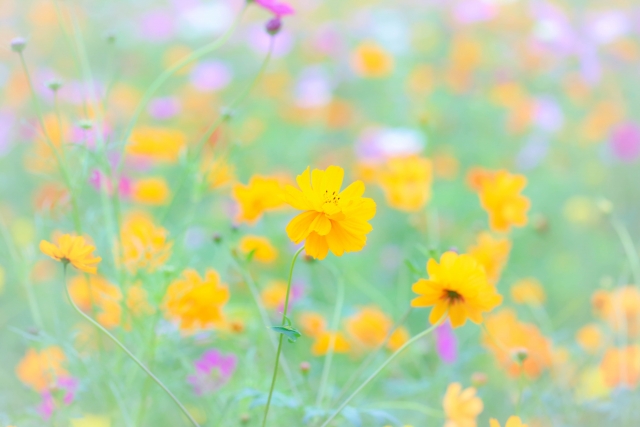 記事のサムネイル画像